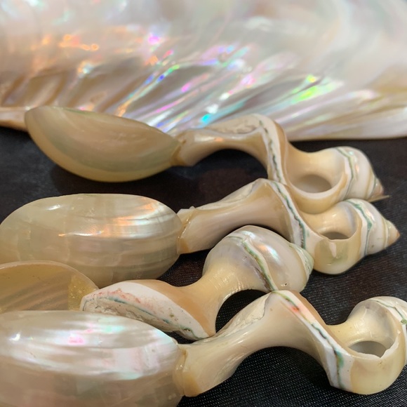 Polished Pearlized Large Clamshell Serving Dish and 4 Conch & Clamshell Spoon - Picture 5 of 12
